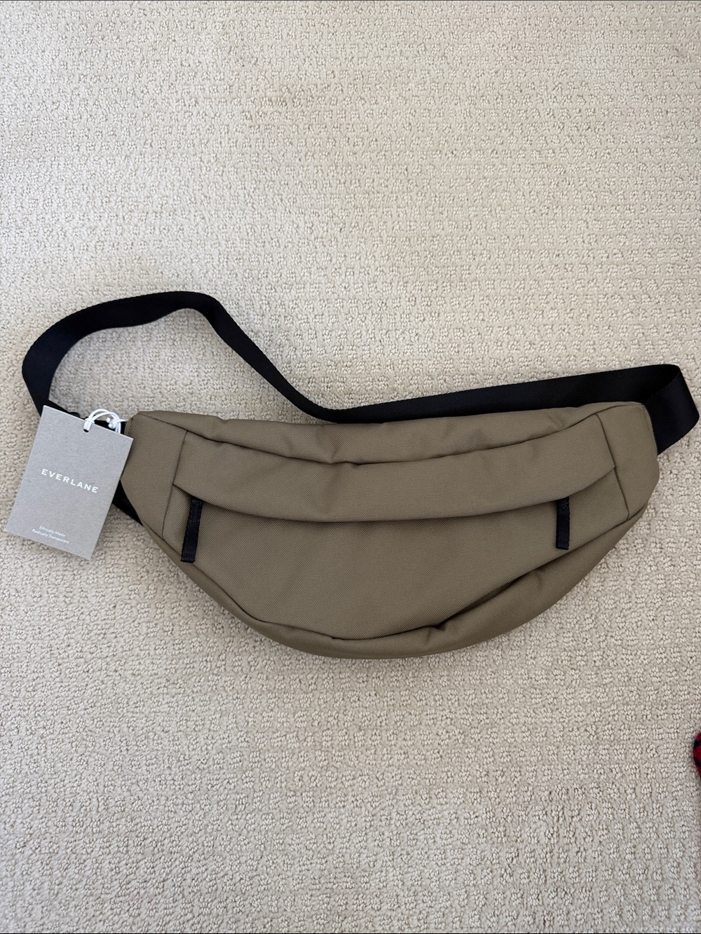 Everlane Olive Belt Bag with Black Strap